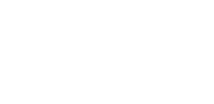 iivsa