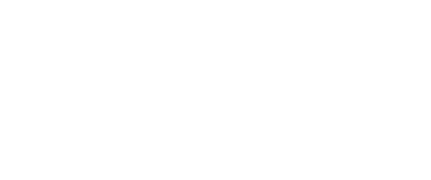 iivsa